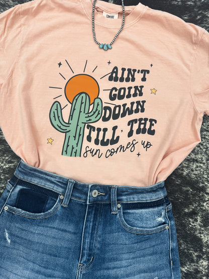 AIN'T GOIN' DOWN SHIRT OR SWEATSHIRT